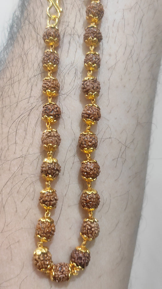 Gold Forming 25 Mg 30 Inch 6 mm 25 Gram Rudraksha Chain Mala By Chokerset CHWA9003